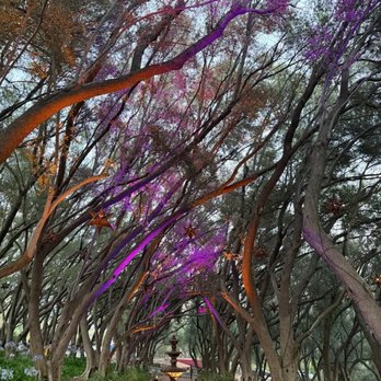 Padua Weddings - Fountain walk way - Venues & Event Spaces Near Me - Claremont, California
