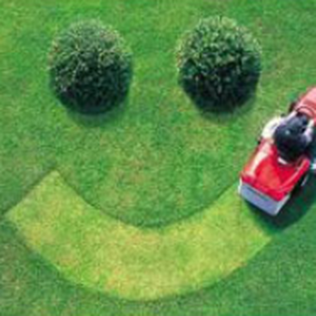 Larry Colliver - Larry Colliver will make your lawn Happy! - Lawn Services Near Me - Lexington, Kentucky