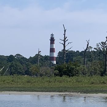 Salt Water Pony Tours - Boat Tours Near Me - Chincoteague, Virginia