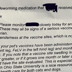 Happy Valley Veterinary Hospital - After visit summary