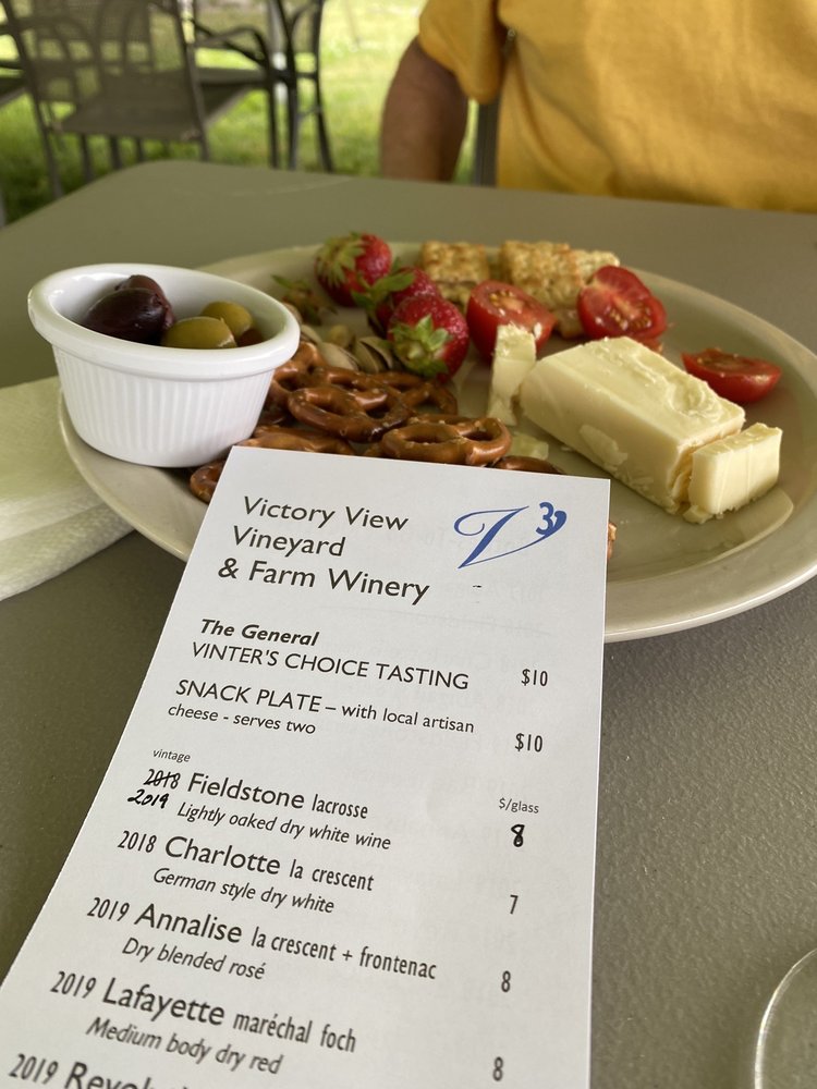 Victory View Vineyard - vineyard in Schaghticoke, NY