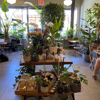 Kunst Coffee Haus - Decorate was beautiful and serene inside - Coffee & Tea Near Me - Bayside, New York