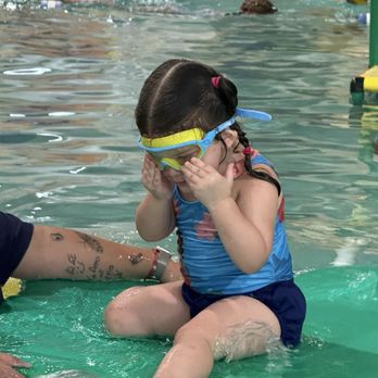 Emler Swim School of Houston Meyerland - Swimming Lessons/Schools Near Me - Houston, Texas Emler Swim School of Houston Meyerland - Swimming Lessons/Schools Near Me - Houston, Texas