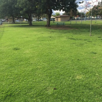 Central Bark Dog Park - Love the open space - Dog Parks Near Me - West Covina, California