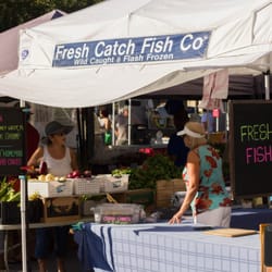 Fresh Catch Fish - Look for the Fresh Catch Fish Co tent at farmer's markets in Southwest Florida. You can find their latest schedule on their website.
