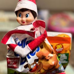 Target - Elf on the Shelf "Tilly" with our 5 year old's favorite breakfast, Little Bites Chocolate Chip Muffins for when she wakes up!