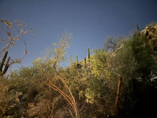 Loews Ventana Canyon Resort by null