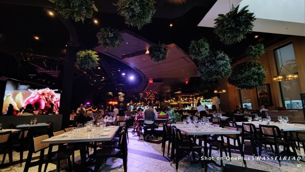 Estefan Kitchen Orlando by null