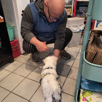 Island Animal - The owner of Island Animal, Pio your the best!
Your friend
Coconut - Pet Stores Near Me - Jamestown, Rhode Island Island Animal - The owner of Island Animal, Pio your the best!
Your friend
Coconut - Pet Stores Near Me - Jamestown, Rhode Island
