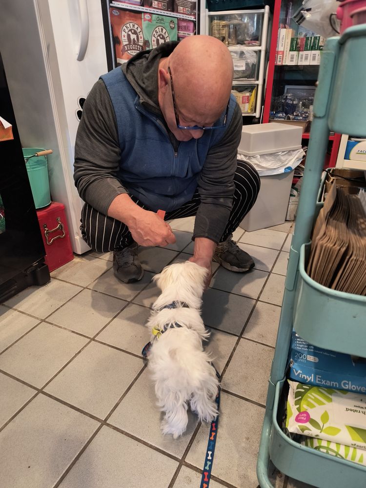 ISLAND ANIMAL Updated September 2024 35 Narragansett Ave, Jamestown, Rhode Island Pet