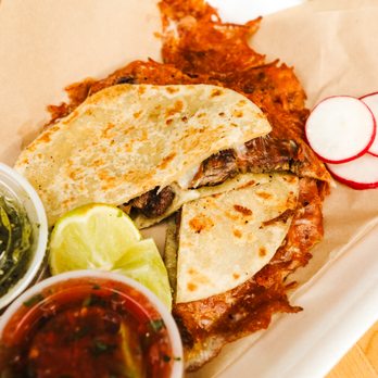 Taco Kat - Steak Quesadilla - Tacos Near Me - Orlando, Florida Taco Kat - Steak Quesadilla - Tacos Near Me - Orlando, Florida