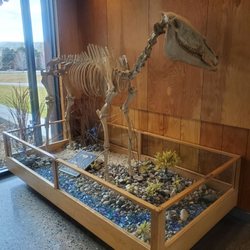 Hagerman Fossil Beds National Monument