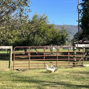 Wisteria Farm & Vineyard - Wineries Near Me - Stanley, Virginia
