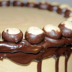 Le Torte Dolci