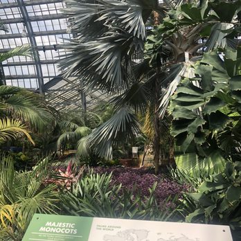 Garfield Park Conservatory - Parks Near Me - Chicago, Illinois