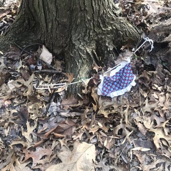 South Mountain Fairy Trail - Someone's doing laundry! - Kids Activities Near Me
