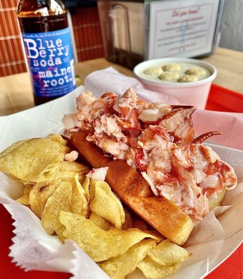 Bite into Maine by null