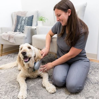 Walking Paws Rehab - Veterinarians Near Me - Boulder, Colorado