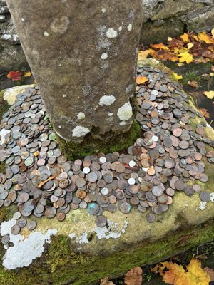 Dornoch Cathedral by null