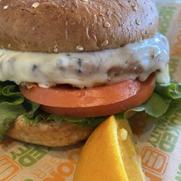 Turkey Burger Turkey Burger