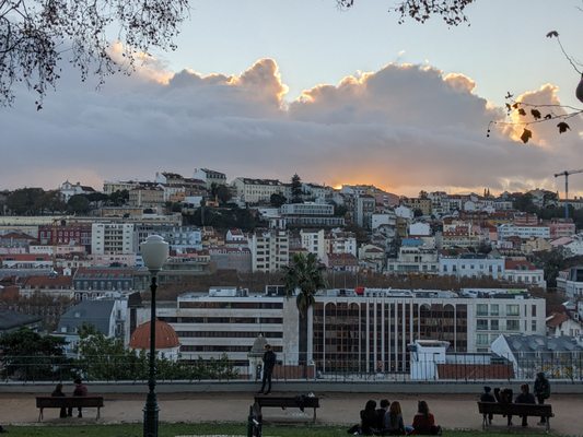 Jardim do Torel by null