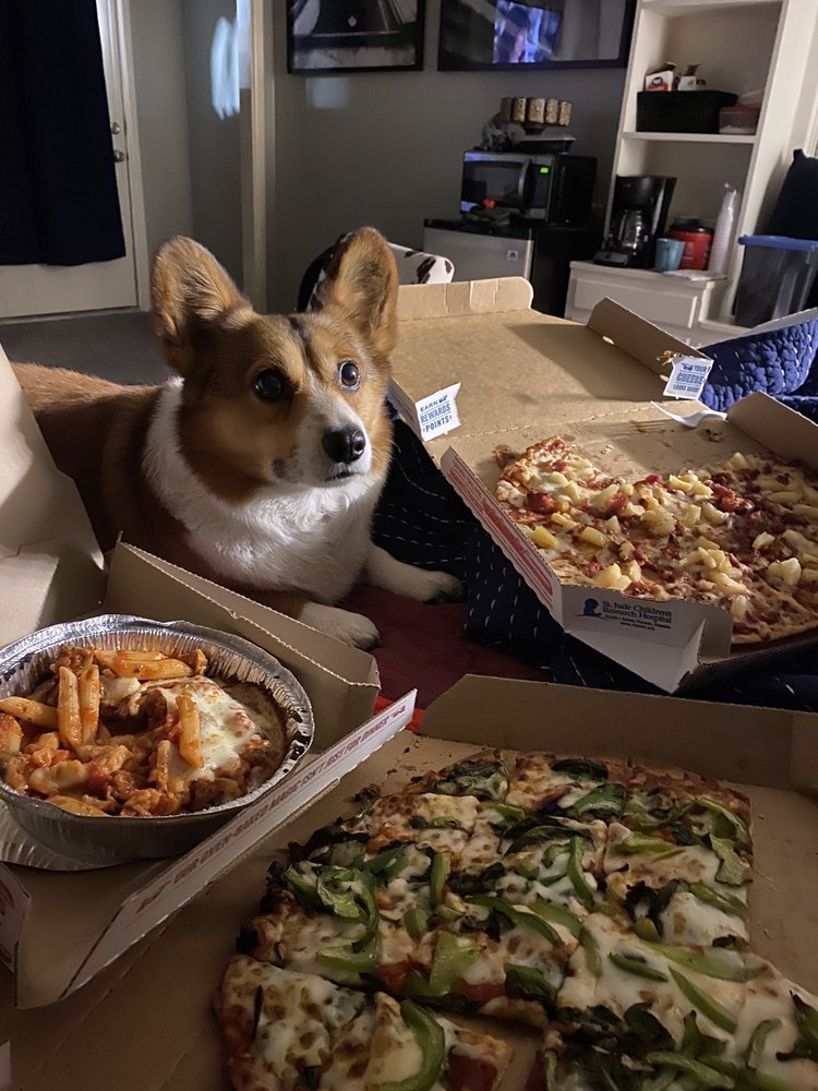 DOMINO’S PIZZA 27 Reviews 2510 Marsha Sharp Fwy, Lubbock, Texas