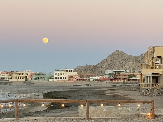 Cholla Bay Oyster House by null
