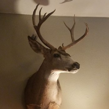 Cedar River Taxidermy - Taxidermy Near Me - Enumclaw, Washington