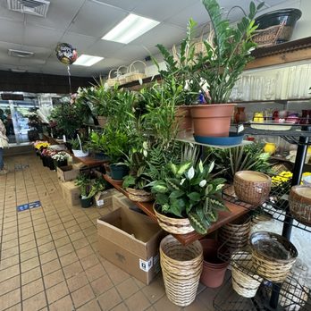 City Line Florist - Inside - Florists Near Me - New Hyde Park, New York City Line Florist - Inside - Florists Near Me - New Hyde Park, New York