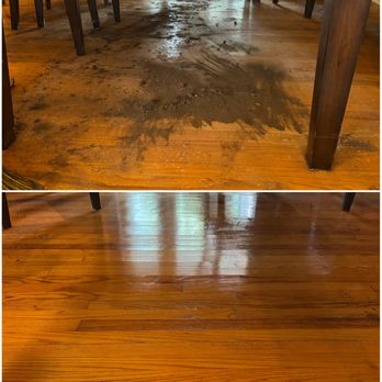 Blue Morpho Cleaning - Home Cleaning Near Me - Kansas City, Missouri Blue Morpho Cleaning - Home Cleaning Near Me - Kansas City, Missouri