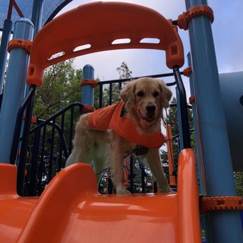 Orloff Park - Lola won't go down the slide - Playgrounds Near Me - Pleasanton, California Orloff Park - Lola won't go down the slide - Playgrounds Near Me - Pleasanton, California