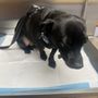 Photo of Hope Veterinary Care