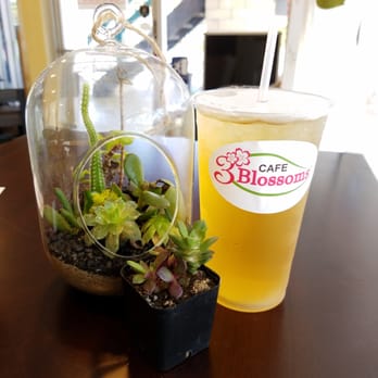 3 Blossoms Cafe - Jasmine tea - Bubble Tea Near Me - Westminster, California 3 Blossoms Cafe - Jasmine tea - Bubble Tea Near Me - Westminster, California