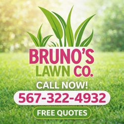 Bruno’s Lawn