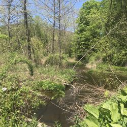Great Hollow Nature Preserve & Ecological Research Center