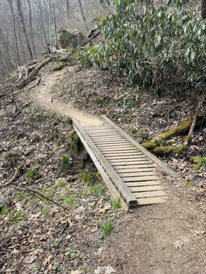 Daniel Boone National Forest by null