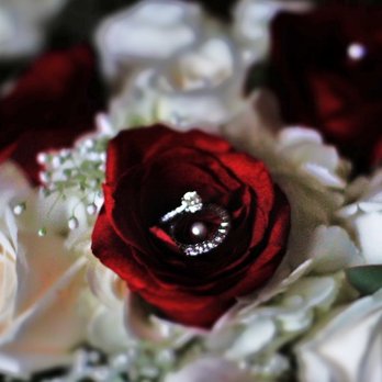 Egle photography - Event Photography Near Me Egle photography - Event Photography Near Me