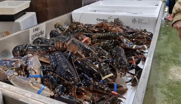 Billingsgate Market by null