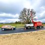 Photo of Northwest Arbor-Culture - Tree Services