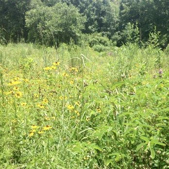 Donald E. Davis Arboretum - Parks Near Me - Auburn, Alabama