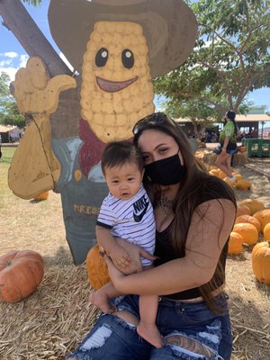 High Quality Roofing Logo