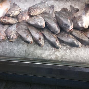 CN Seafood Market - Pick a fish and have them cook it - Seafood Markets Near Me - Houston, Texas CN Seafood Market - Pick a fish and have them cook it - Seafood Markets Near Me - Houston, Texas