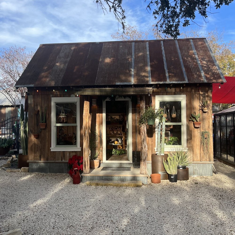 Cosmic Plant - Cosmic Plant Co. - Nurseries & Gardening Near Me - New Braunfels, Texas Cosmic Plant - Cosmic Plant Co. - Nurseries & Gardening Near Me - New Braunfels, Texas