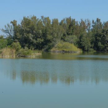Lakes Regional Park - Parks Near Me - Fort Myers, Florida Lakes Regional Park - Parks Near Me - Fort Myers, Florida