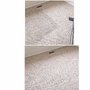 Photo of Interior Carpet Care