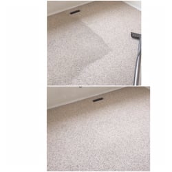 Interior Carpet Care - Before and after