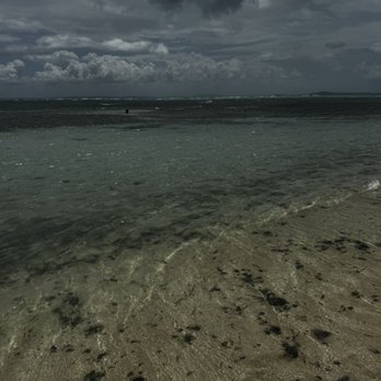 Palomino Island - Beaches Near Me Palomino Island - Beaches Near Me