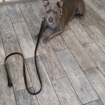 Furry Tails - Pet Boarding Near Me - Dallas, Texas