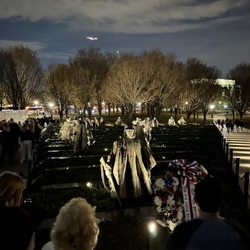 Signature Tours of DC