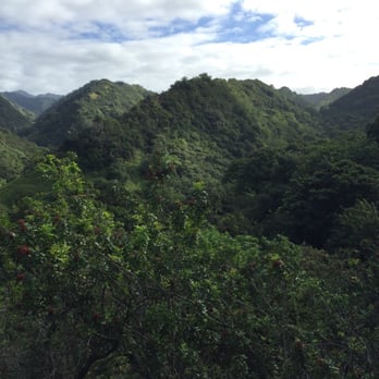 Waimano Loop Trail - Hiking Near Me - Pearl City, Hawaii